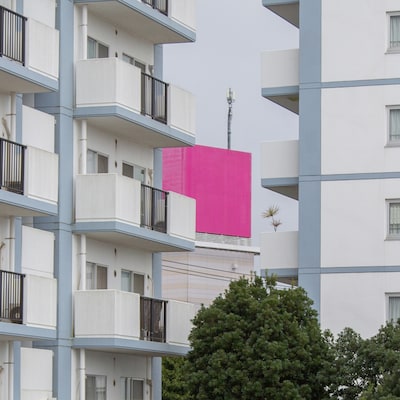 cero「健忘者たち」配信ジャケット