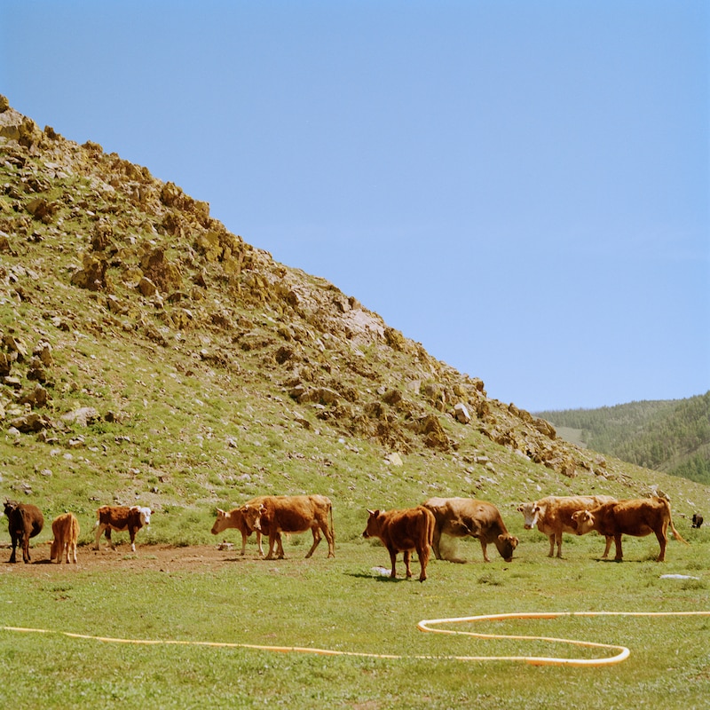 kZm「AMANOJAKU feat. JUMADIBA」配信ジャケット