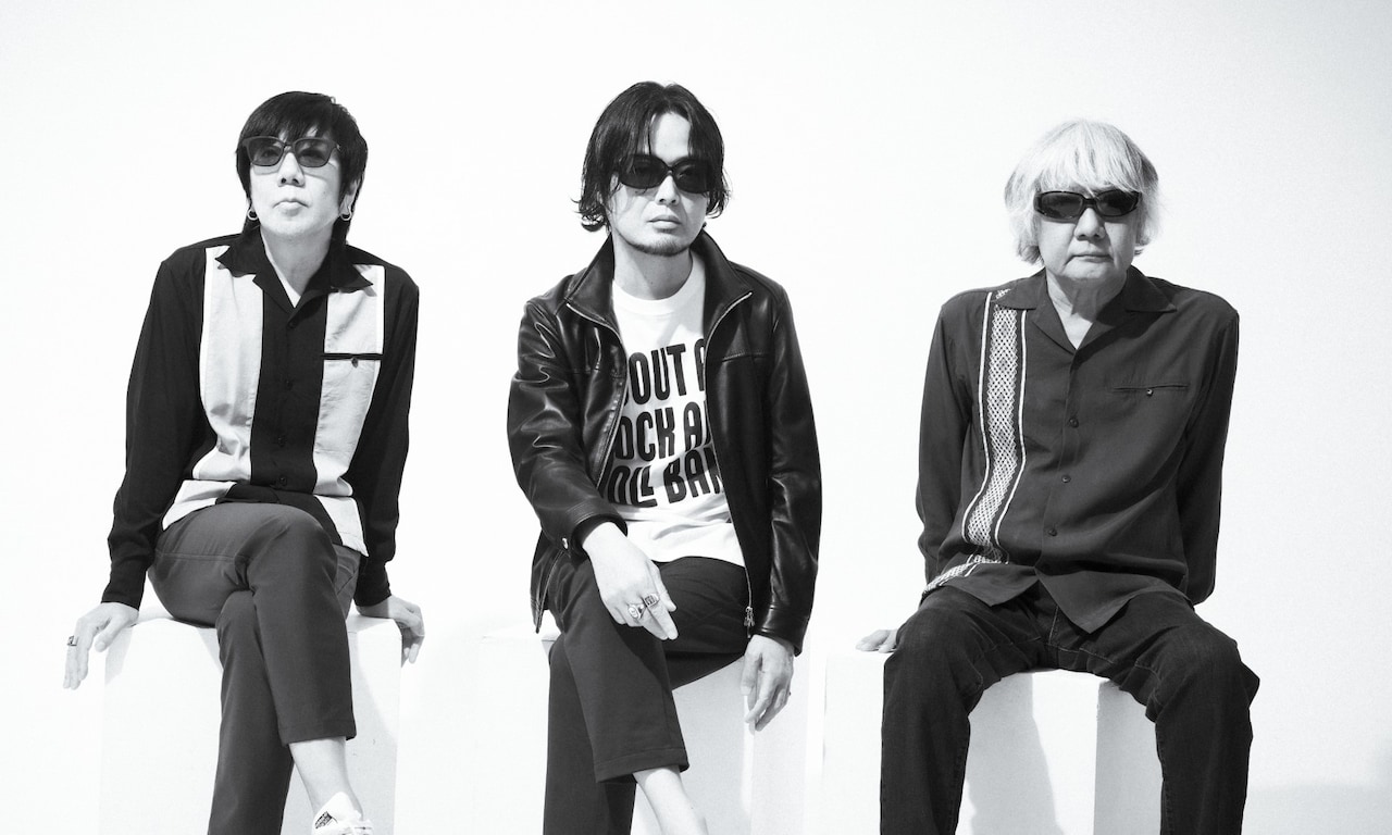 the pillows