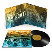 the pillows「MY FOOT」アナログ盤展開図