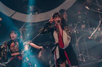 ライカ（撮影：真島洸）