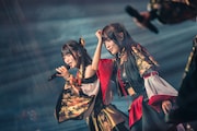「INUWASI BAND SET LIVE TOUR 2025〝狗鷲廻閃〟」の様子。(撮影:真島洸)