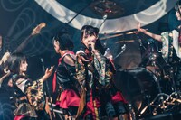 ライカ（撮影：真島洸）