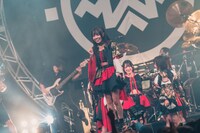 すずめ（撮影：真島洸）