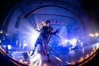 中納良恵（Vo）（撮影：仁礼博）