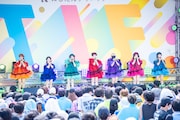 CANDY TUNE