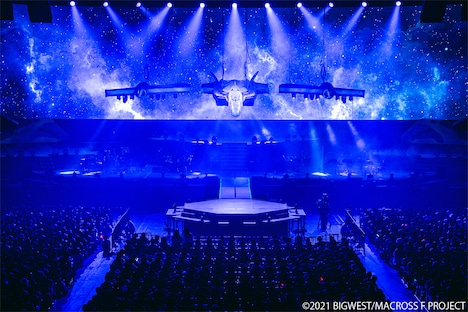 怪しげなムードを放つ朽ちたYF-29デュランダルバルキリー。