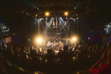 「マカロニえんぴつat Billboard Live OSAKA and TOKYO 2025」東京・ビルボードライブ東京公演より。(撮影:酒井ダイスケ)