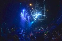 「マカロニえんぴつat Billboard Live OSAKA and TOKYO 2025」東京・ビルボードライブ東京公演より。（撮影：酒井ダイスケ）