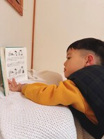 「グレッグのダメ日記」熟読中。