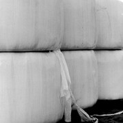 MK woop「iridescent」配信ジャケット