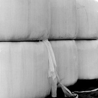 MK woop「iridescent」配信ジャケット