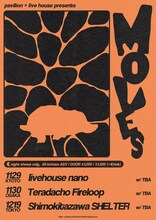 「pavilion × live house pre. MOLES」告知画像