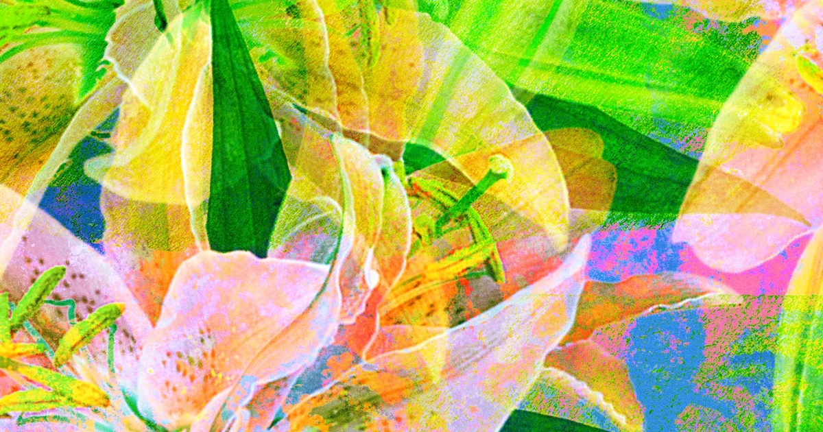 緑黄色社会、新曲「つづく」MVが草原背景で公開