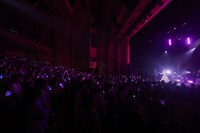 ピンクのペンライトで埋め尽くされた南野陽子のステージ。（撮影：上西由華）