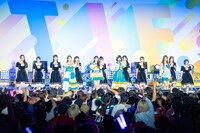 タイトル未定と高嶺のなでしこ。