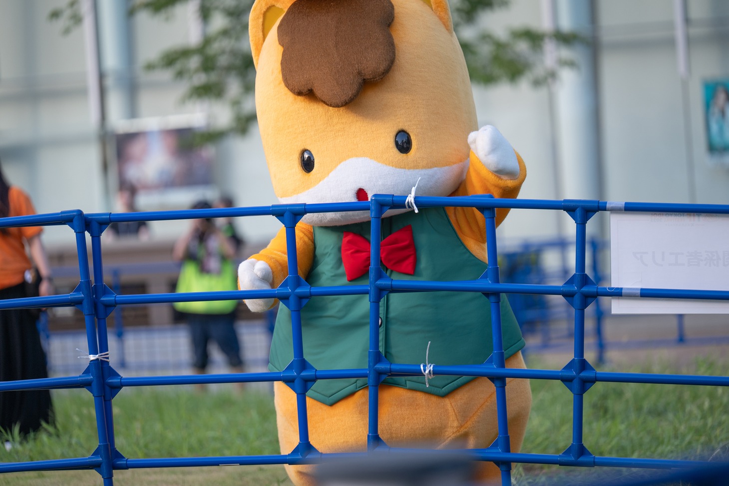 前橋ウィッチーズのライブを楽しむぐんまちゃん。