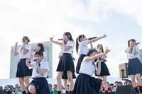 高嶺のなでしこ