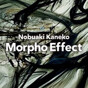 金子ノブアキ「Morpho Effect」配信ジャケット