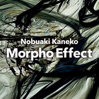 金子ノブアキ「Morpho Effect」配信ジャケット