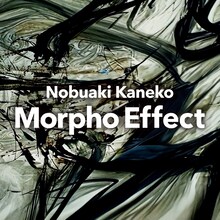 金子ノブアキ「Morpho Effect」配信ジャケット