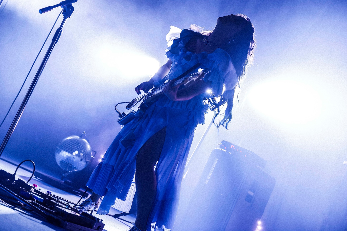 やしちゃん（B）（撮影：森好弘）