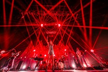 女王蜂（撮影：森好弘）