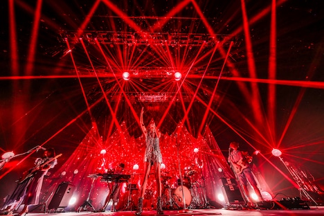 女王蜂（撮影：森好弘）