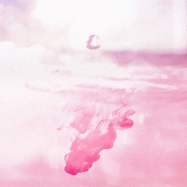 マルシィ「涙」配信ジャケット