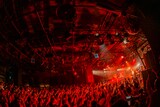「shallm 1st LIVE TOUR 2025 一揆」の様子。(撮影:飛鳥井里奈)