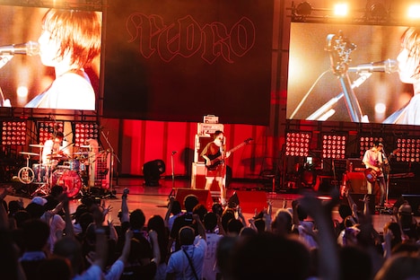 PEDRO（Photo by sotobayashi kenta）