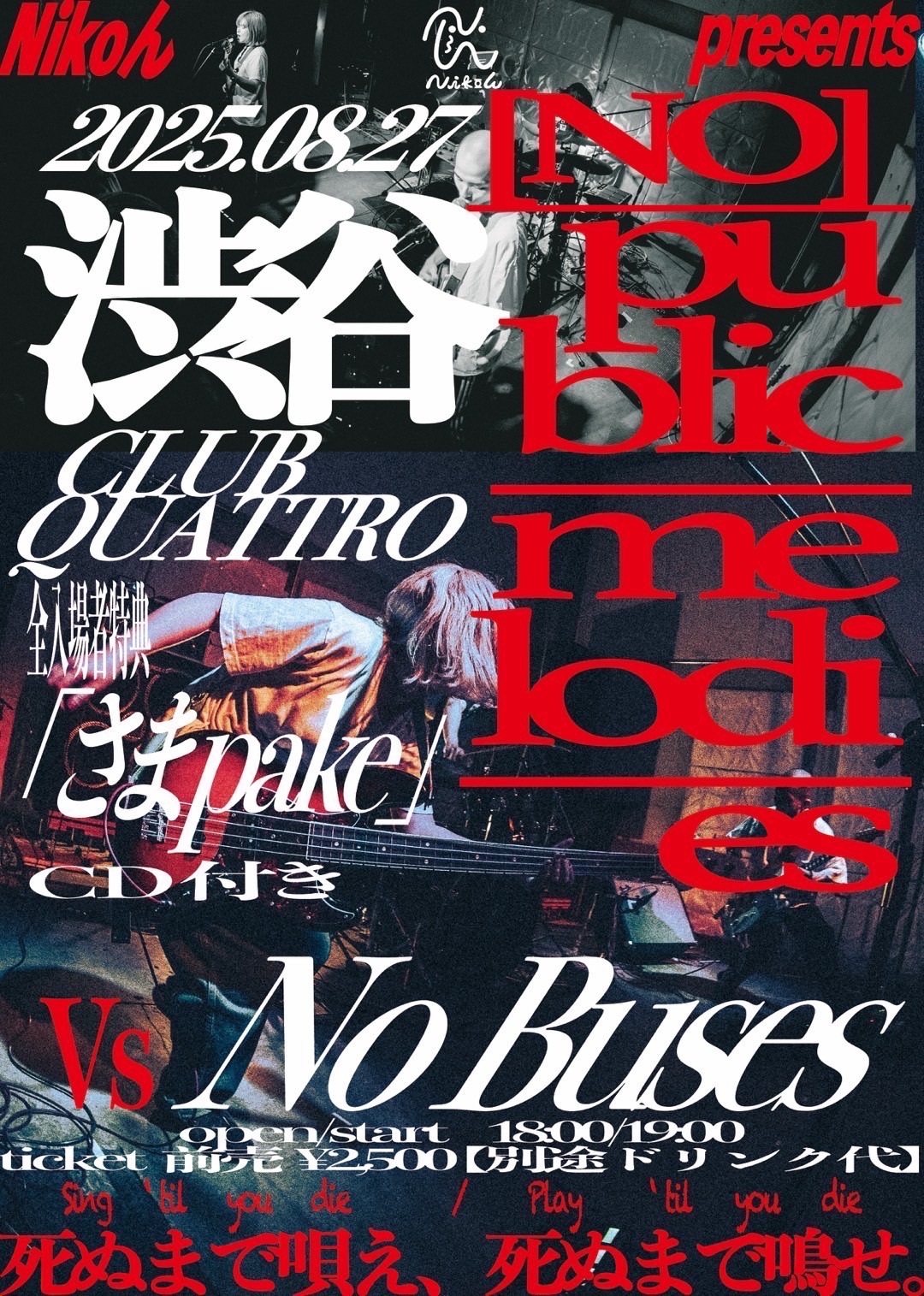 Nikoん「RE:place public tour 2025」ファイナル公演フライヤー