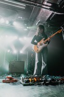 なずな（ハク。）（撮影：石倉風輝）