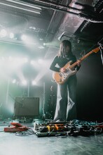 なずな（ハク。）（撮影：石倉風輝）