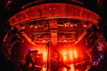 ハク。（撮影：石倉風輝）