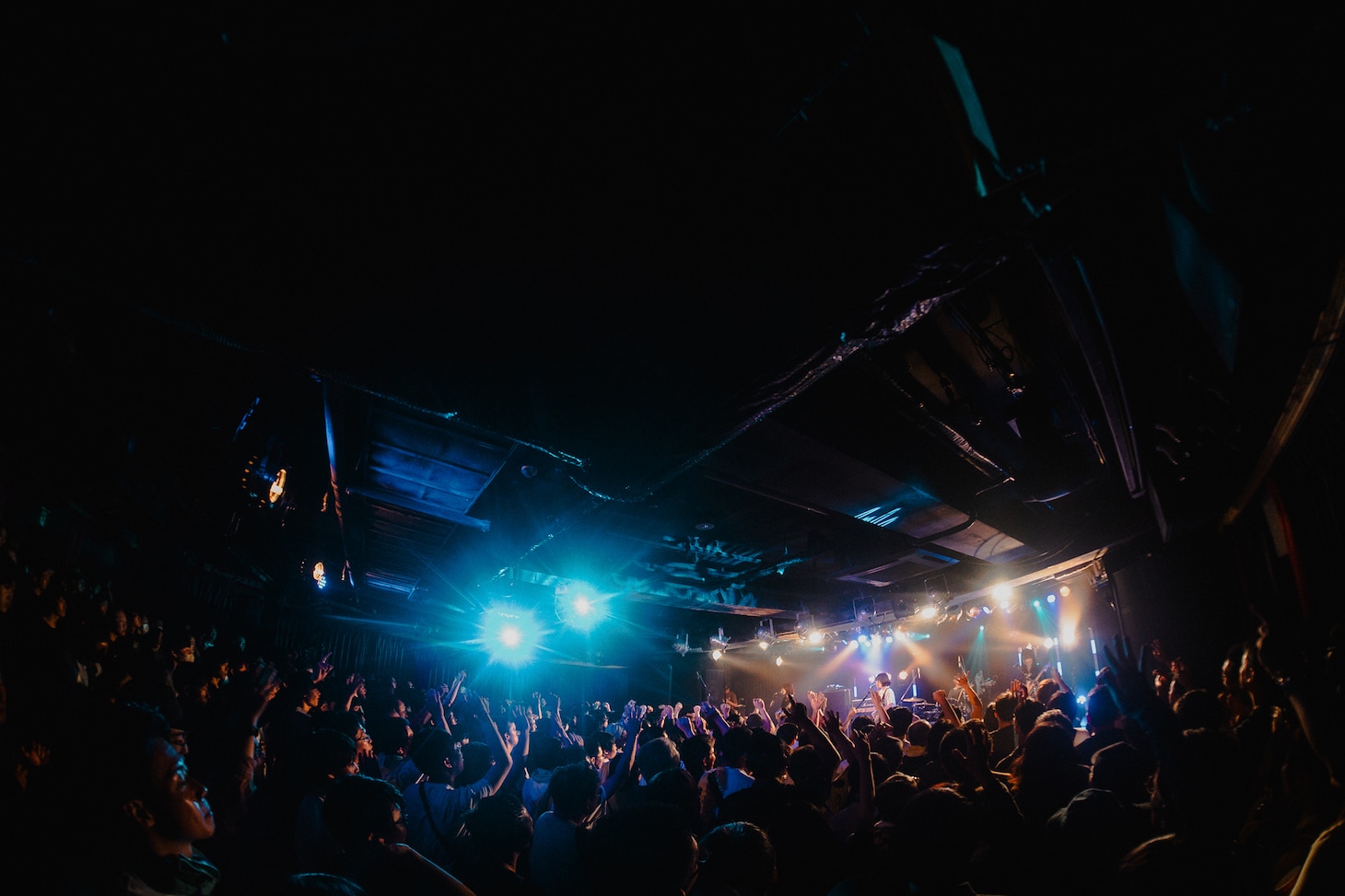 ハク。のライブの様子。（撮影：石倉風輝）