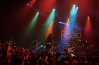 The Novembers（撮影：河本悠貴）