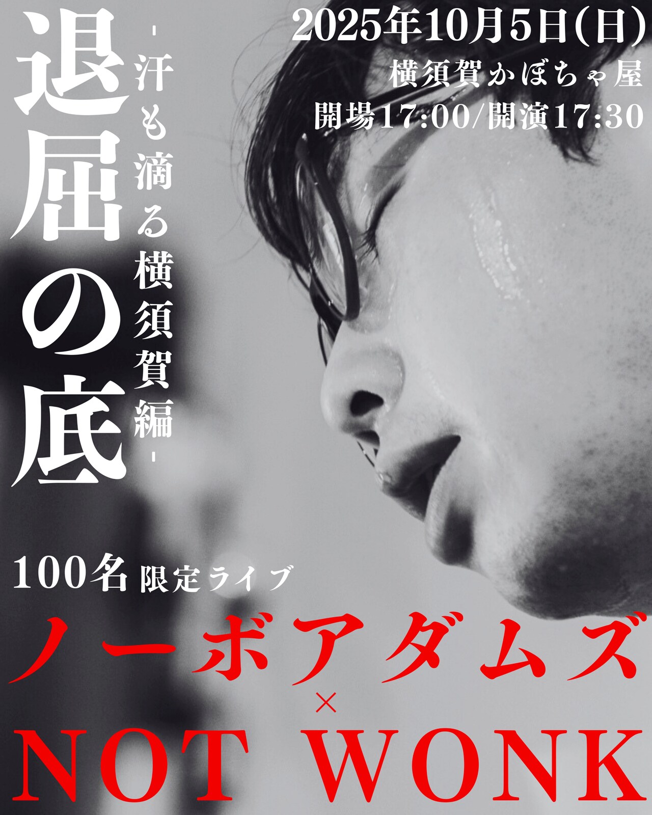 [MUSIC] 試聴即決★NOT WONK / DOWN THE VALLEY (LP) NOT WONK商品一覧｜ディスクユニオン・オンラインショップ｜