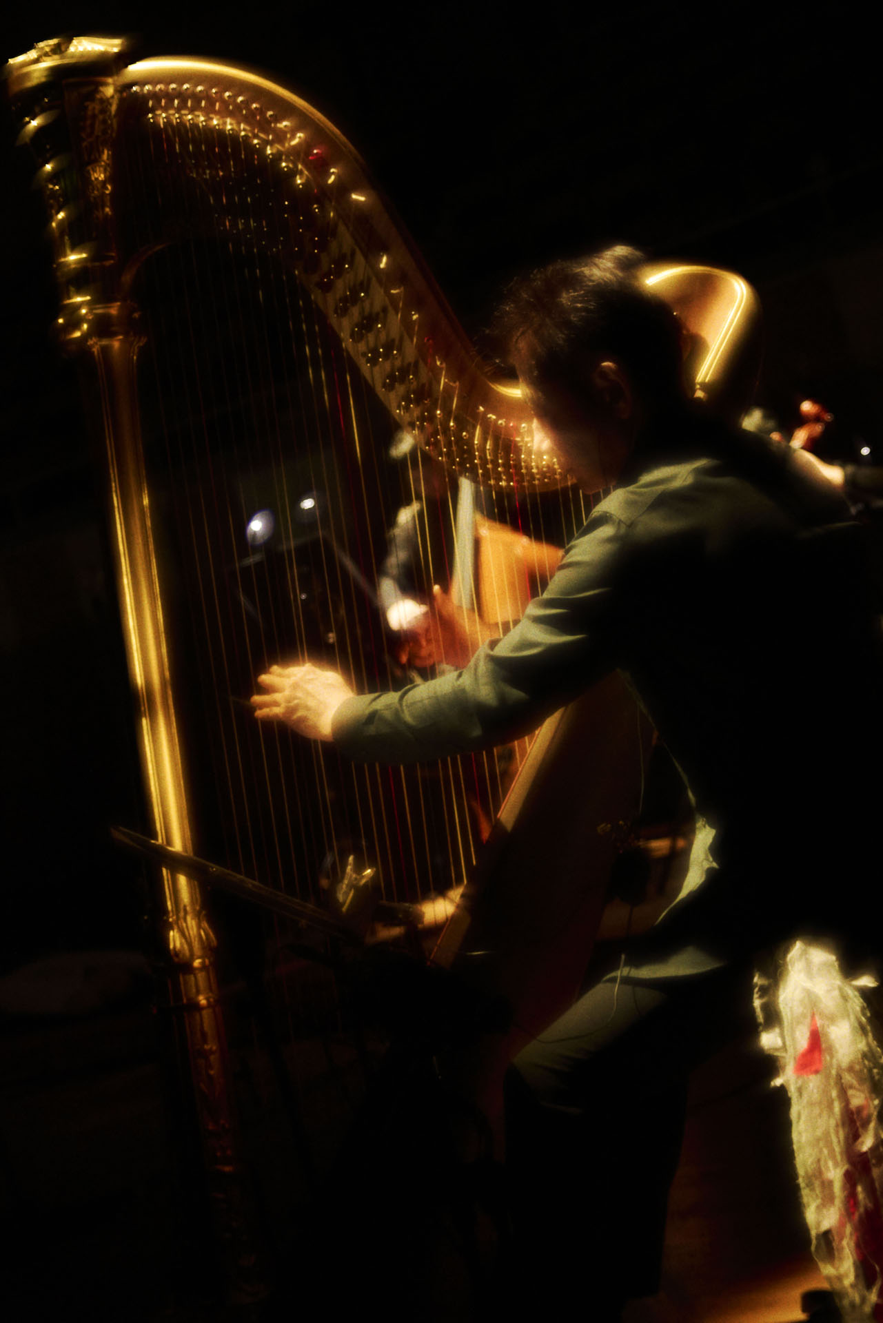 朝川朋之（Harp）（撮影：小林光大）