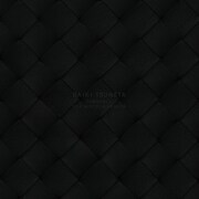 常田大希「SUNDANCE FOR BOTTEGA VENETA」ジャケット