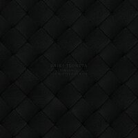 常田大希「SUNDANCE FOR BOTTEGA VENETA」ジャケット