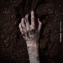 平手友梨奈「I'm human」配信ジャケット