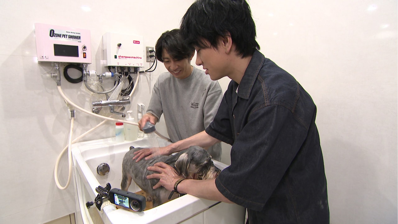 保護犬を洗う相葉雅紀と横山裕。©日本テレビ