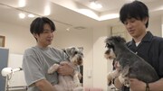 保護犬を抱き抱える相葉雅紀と横山裕。©日本テレビ