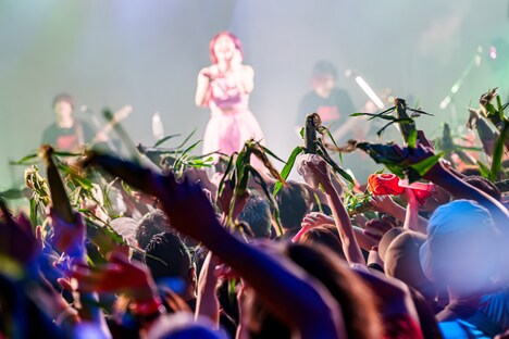 フロアで揺れるとうもろこし。（Photo by "SUGI" Yuya Sugiura）