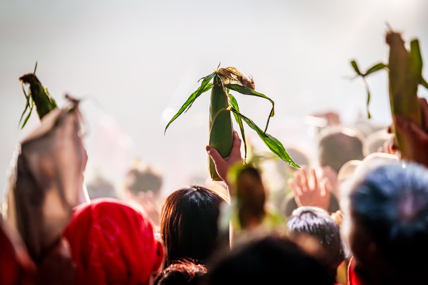 ボランティアが掲げるとうもろこし。（Photo by "SUGI" Yuya Sugiura）