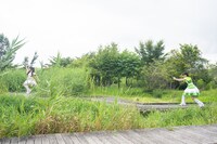 野鳥を狙うヒットマン。