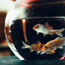 Kroi「HAZE」配信ジャケット