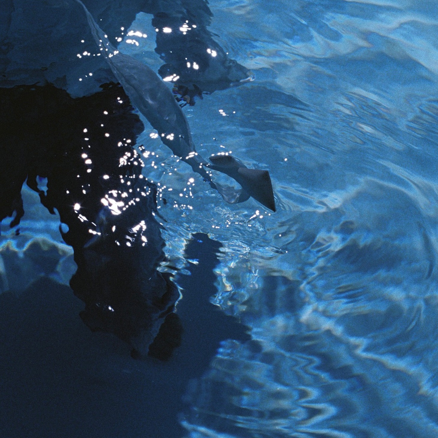 FENGFAN「Like Water」ジャケット
