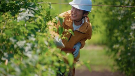 「キリンビール 晴れ風」新テレビCMより。